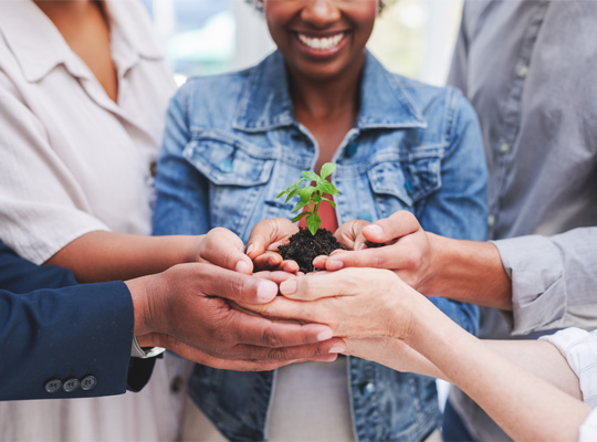 Canar Corporate Social Responsibility Concept